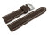 Watch strap - strong padded - smooth - brown 20mm Steel