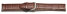 Watch band - Genuine Calfskin - curved ends - dark brown 18mm Steel