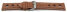 Watch strap - smooth - three holes - light brown 22mm Steel