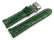Butterfly - Genuine leather - strong padded - Croco - green 18mm Steel