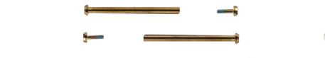 Casio goldtone SCREWS for GMW-B5000GD-9 GMW-B5000TFG-9 GMW-B5000KL-9