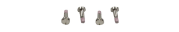 Casio Silver Tone Stainless Steel BEZEL SCREWS GST-W100D GST-W110D GST-W310D GST-210D