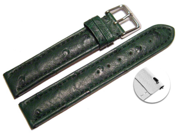 Quick release Watch Strap genuine ostrich leather dark...