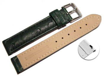 Quick release Watch Strap genuine ostrich leather dark green 18mm 20mm 22mm 24mm