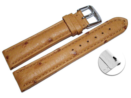 Quick release Watch Strap genuine ostrich leather nature...