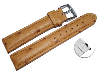 Quick release Watch Strap genuine ostrich leather nature 18mm 20mm 22mm 24mm