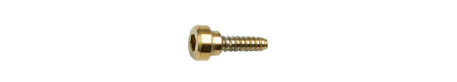 Genuine Casio Replacement Gold Tone Bezel SCREW for GBD-H1000-1A9