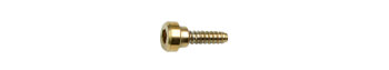 Genuine Casio Replacement Gold Tone Bezel SCREW for...