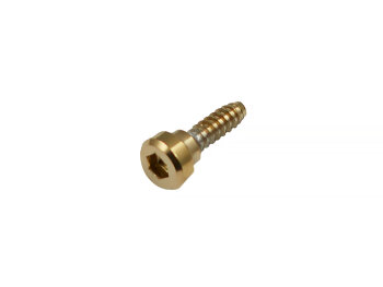 Genuine Casio Replacement Gold Tone Bezel SCREW for...