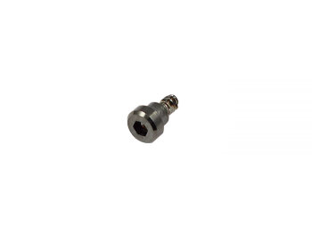 Genuine Casio Black Stainless Steel Screw for GBD-H2000-1AER