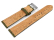 Avocado Vegan Cork Lightly padded Watch Strap 14mm 16mm 18mm 20mm 22mm