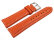 Watch Strap Genuine Leather smooth orange wN 18mm 20mm 22mm 24mm 26mm 28mm