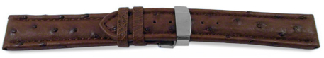 Watch strap - Genuine ostrich leather - padded - dark brown