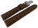 Watch strap - Genuine ostrich leather - padded - dark brown