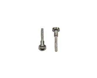 Casio Watch Band SCREWS for GG-B100