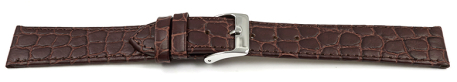 Quick release Watch strap genuine leather Safari Dark Brown 12mm 14mm 16mm 18mm 20mm 22mm