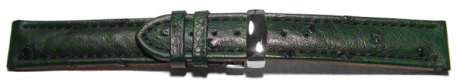 Quick Release Watch Strap Genuine ostrich leather padded dark green 18mm 20mm 22mm 24mm