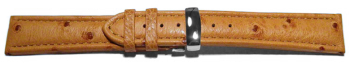 Quick Release Watch Strap Genuine ostrich leather padded nature 18mm 20mm 22mm 24mm
