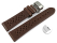 Quick Release Breathable Perforated Dark Brown Leather Watch Strap Butterfly clasp 18mm 20mm 22mm 24mm
