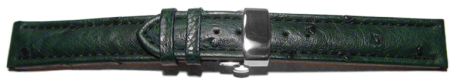 Quick Release Watch strap Butterfly Genuine Ostrich padded dark green 18mm 20mm 22mm 24mm
