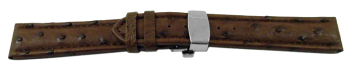 Quick Release Watch strap Butterfly Genuine Ostrich padded black 18mm 20mm 22mm 24mm