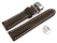 Quick Release Watch strap Butterfly Genuine leather strong padded smooth dark brown 19mm 21mm 23mm
